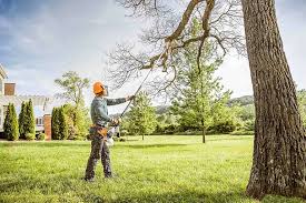 Best Commercial Tree Services  in Anderson, CA