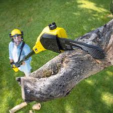 Leaf Removal in Anderson, CA