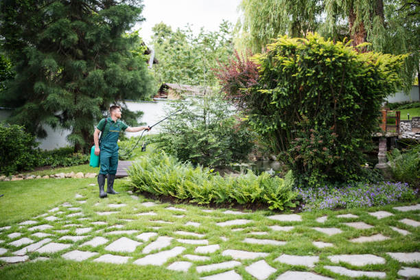 Best Lawn Drainage Solutions  in Anderson, CA